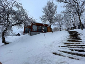 Biutiful Bungalow